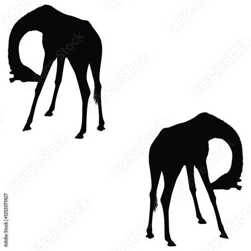 Giraffe Silhouette, Giraffe Vector Silhouette, Giraffe cartoon Silhouette, Giraffe illustration, Giraffe icon Silhouette, Giraffe Silhouette illustration