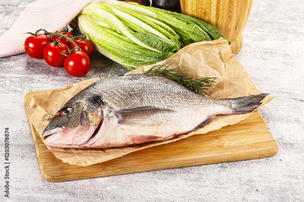 Raw dorada fish served rosemary Raw dorada fish served rosemary