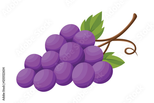 Grapes branch isolated vector illustration. Purple grape leaves clipart. Simple berry bunch with foliage. Healthy organic food. Wine material for beverage production