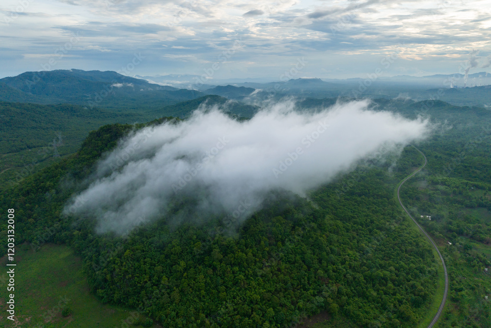 Obraz premium Beautiful mist over green forest on the mountain.