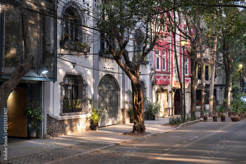 Morning light hits the facades of the art deco style buildings on a street in the trendy neighborhood of La Condesa, in Cuauhtemoc borough of Mexico City