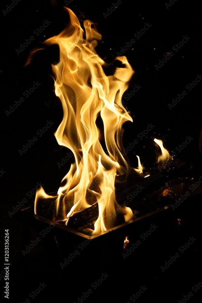 Fototapeta premium Dancing Flames Fiery Combustion of Firewood