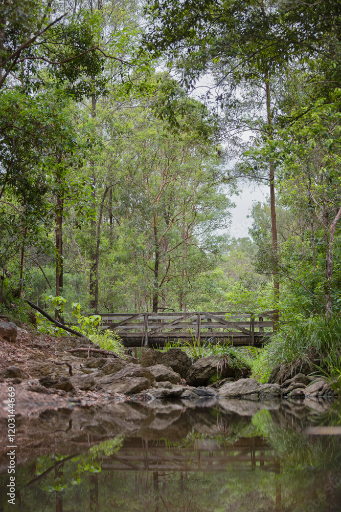 Wooden bridge reflected in calm creek water surrounded by greenery Wooden bridge reflected in calm creek water surrounded by greenery