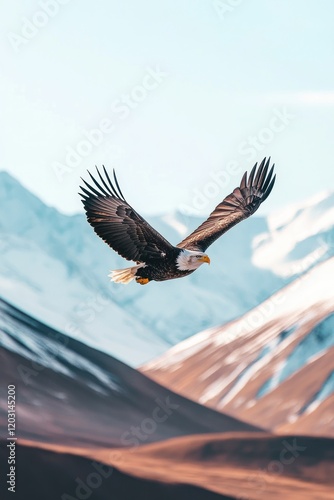 Majestic bald eagle soaring above snow-capped mountains. photo