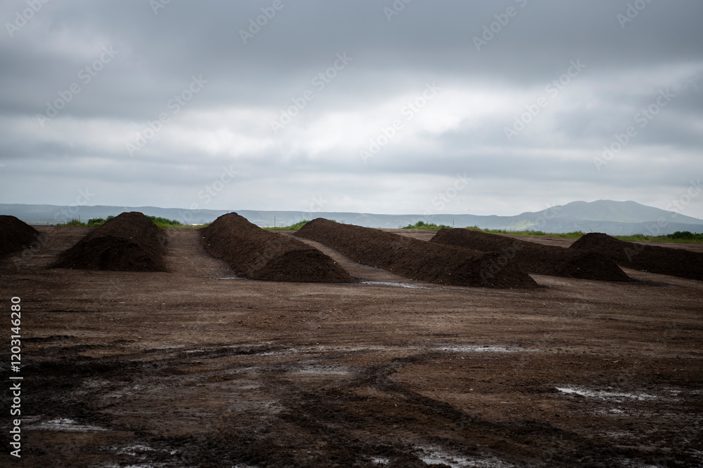 Rows of organic compost at an organic waste facility Rows of organic compost at an organic waste facility