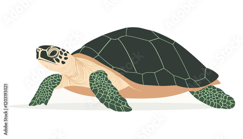 Smiling Man Giving Thumbs Up in Blue and Orange Casual Cartoon Illustration