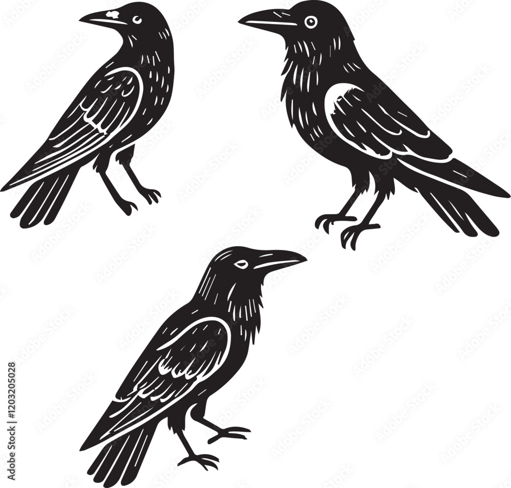 Naklejka premium Crow vector in black and white
