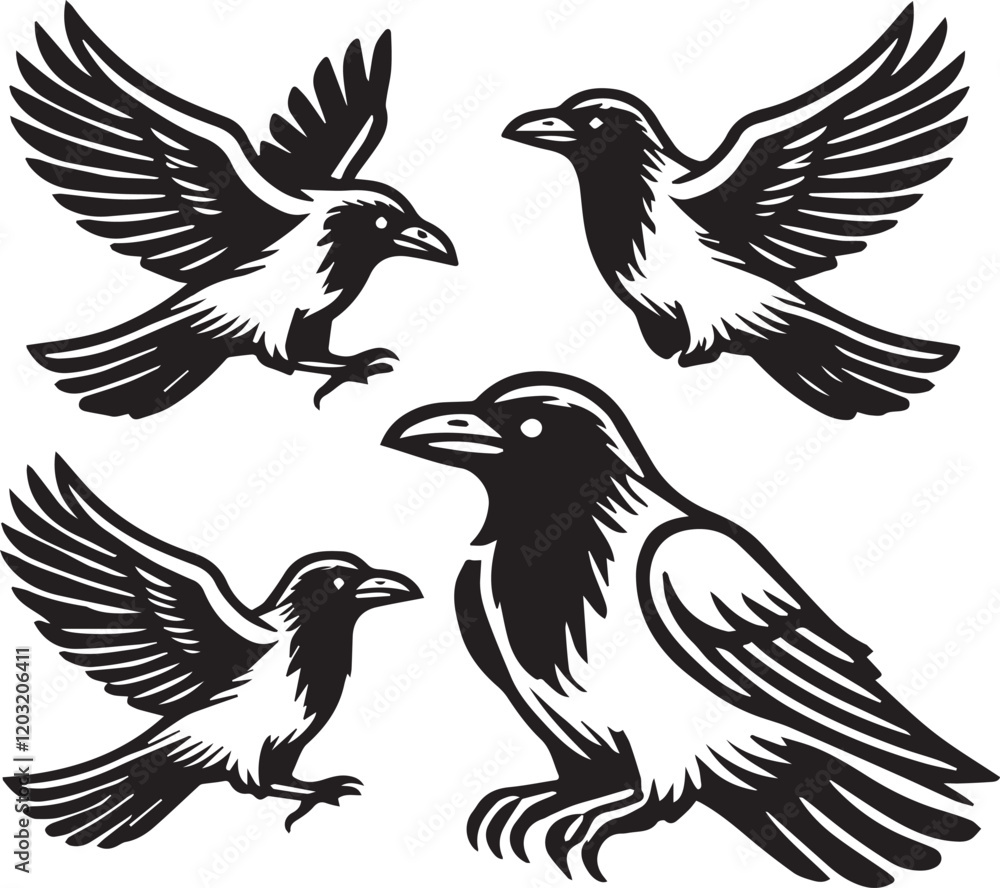 Fototapeta premium Crow vector in black and white