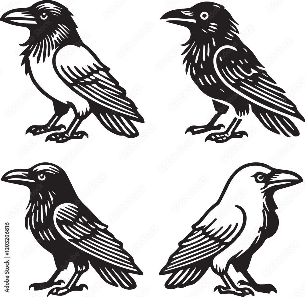 Obraz premium Crow vector in black and white