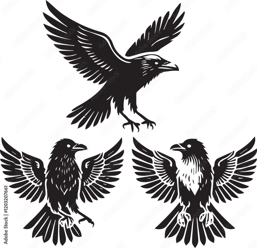 Obraz premium Crow vector in black and white