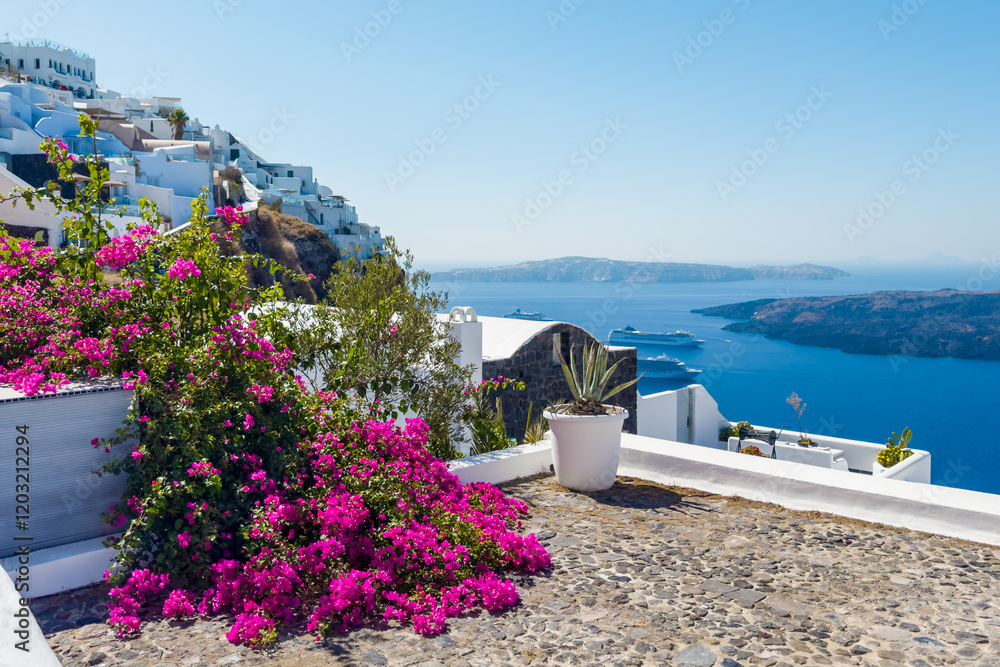 White architecture in Santorini island, Greece. Beautiful terrace with blooming pink flowers