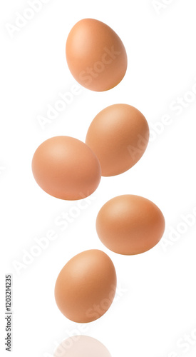 eggs isolated on white background photo