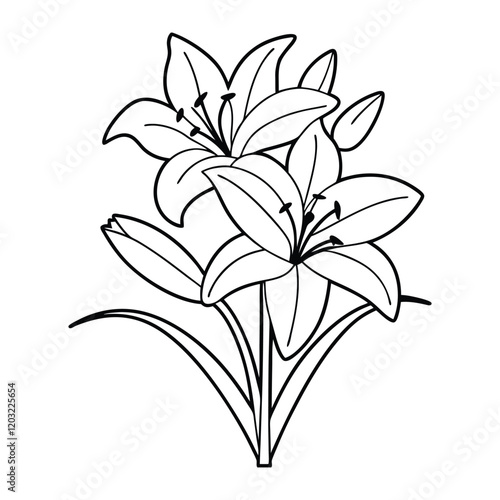 Elegant black and white illustration of a lily flower.