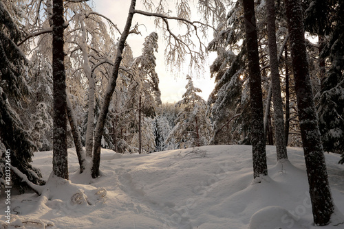 Obraz na płótnie Winter