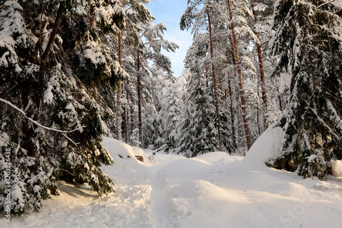 Obraz na płótnie winter