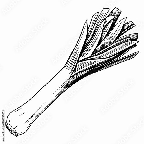 Hand-drawn leek illustration in black and white