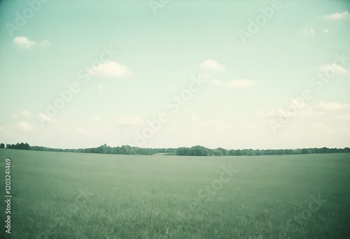 Fototapeta Naklejka Na Ścianę i Meble -  Serene Countryside Meadow Under a Pale Sky. A vast tranquil meadow stretches to a distant line of trees under a pale partly cloudy sky
