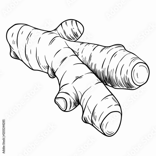 Black-and-white illustration of ginger root