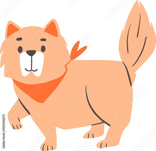 Fluffy Chow Chow with Orange Bandana