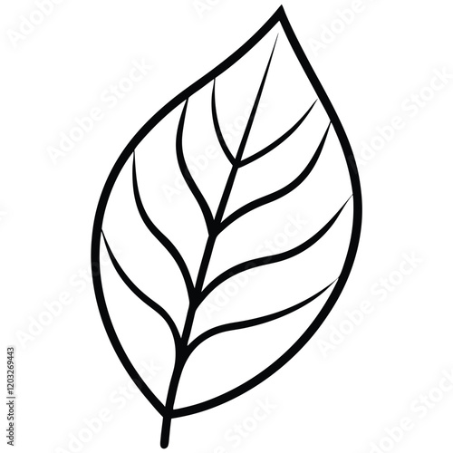 Charm Leaf Vector art Illustration Design for natural content photo