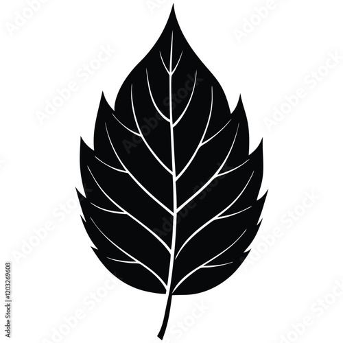 Charm Leaf Vector art Illustration Design for natural content photo