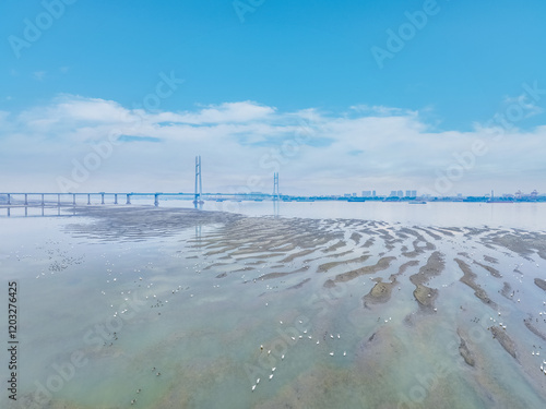 Obraz na płótnie aerial view of winter migratory bird ecological landscape of Jiangxi Jiujiang Yangtze river highway bridge, China w salonie