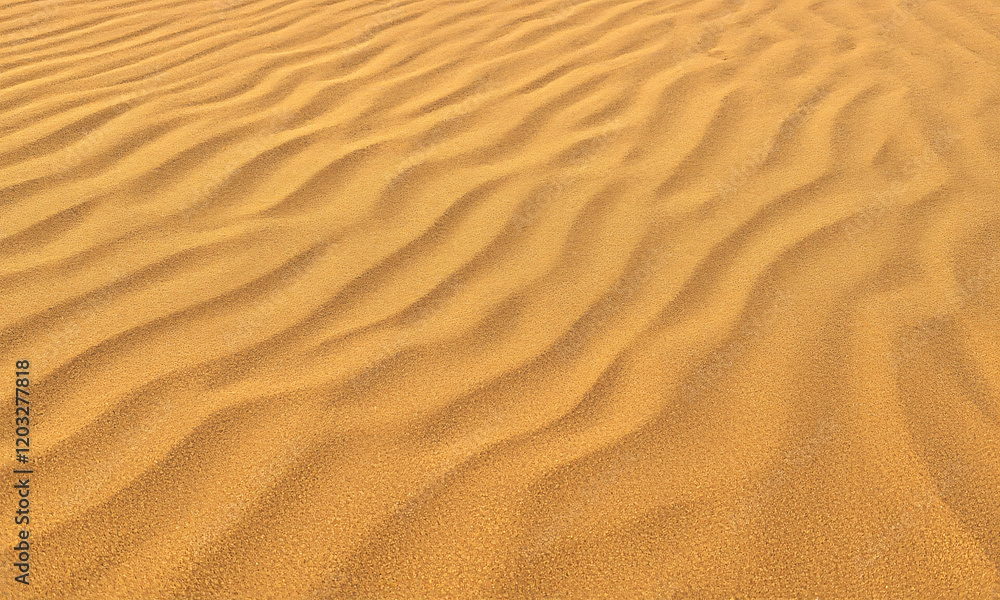 Fine golden sand with subtle ripples formed by wind Fine golden sand with subtle ripples formed by wind
