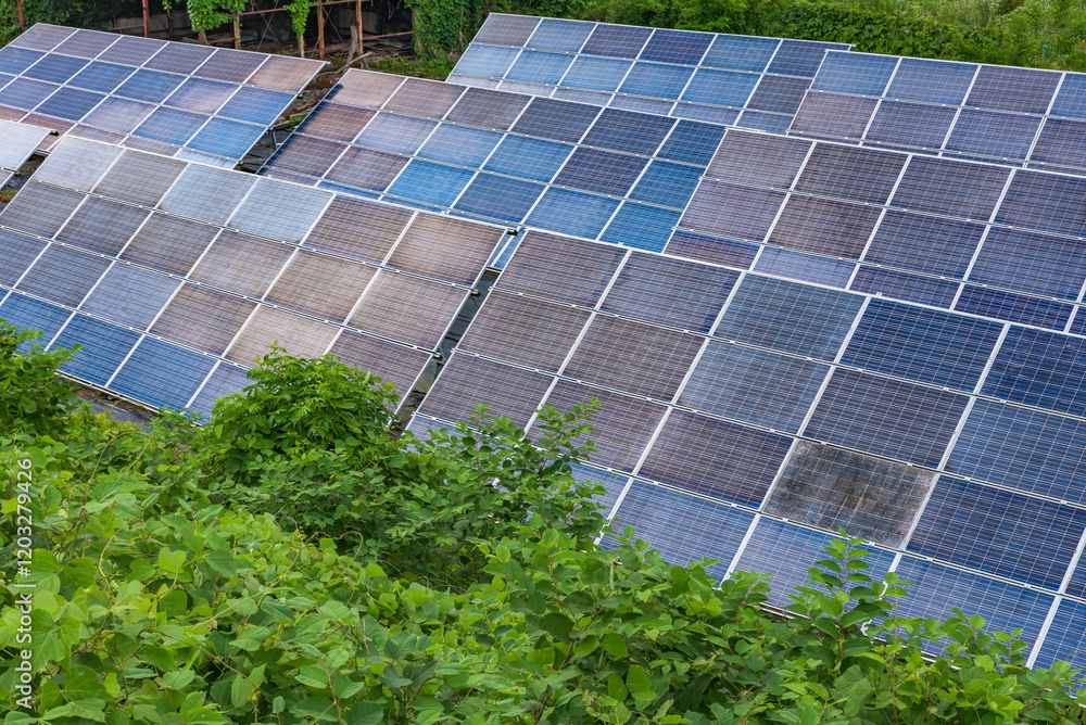 Fototapeta premium Solar Panels, clean energy electricity SDGs image