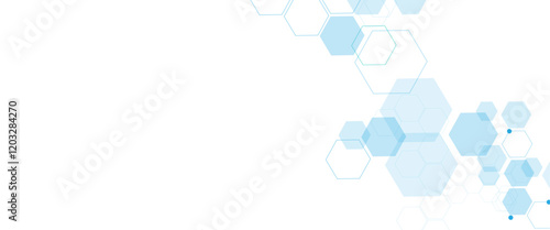 Vector white and blue technology hexagon background. Geometric hexagon. Computer network concept.