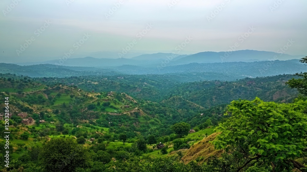 Fototapeta premium Serene Mountain Vista: A Panoramic View of Lush Green Hills