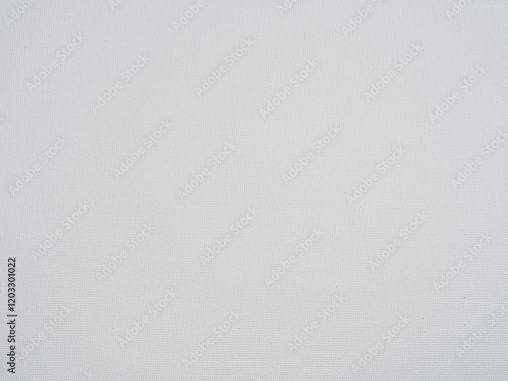 Blank Canvas for Paintings: The perfect backdrop for artistic creation, artwork, and art projects. Blank Canvas for Paintings: The perfect backdrop for artistic creation, artwork, and art projects.