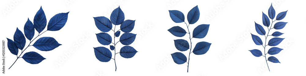 Obraz premium Minimal Botanical Leaf Branches in Various Shades of Blue and Green on a Natural Organic Background with Clean Simple and Design