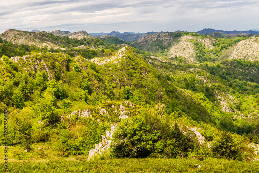 Obraz premium Route to Covadonga, Lakes, Mountains, Cangas de Onis, Asturias, Picos de Europa, Spain