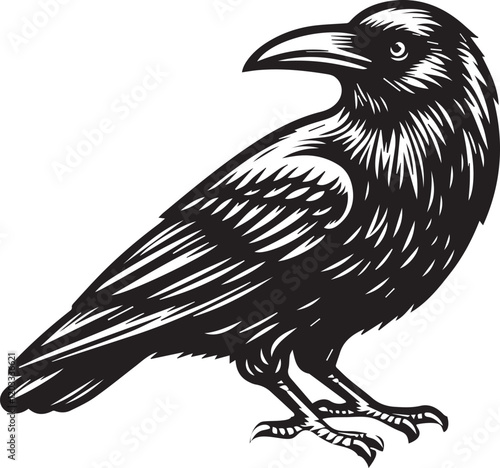 Crow vector in black and white