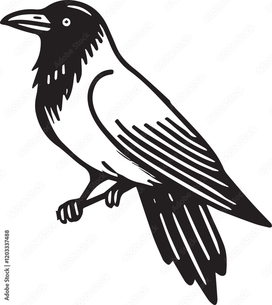 Obraz premium Crow vector in black and white