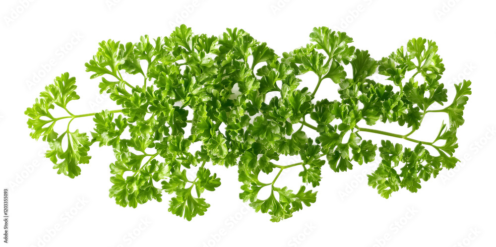 Obraz premium Fresh pepper on a transparent background. isolated background.