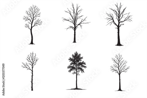 36 Eucalyptus Tree Silhouette Bundle