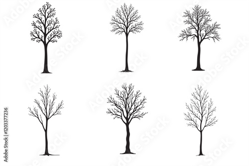 36 Eucalyptus Tree Silhouette Bundle