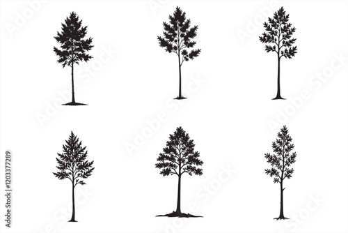 36 Eucalyptus Tree Silhouette Bundle