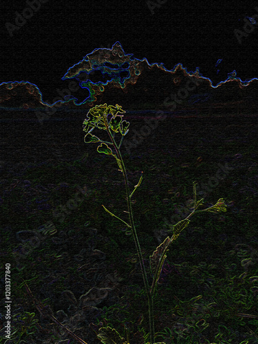 Mustard Flower.eps