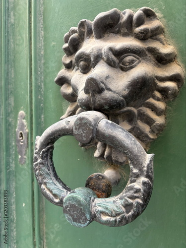 lion head door knocker