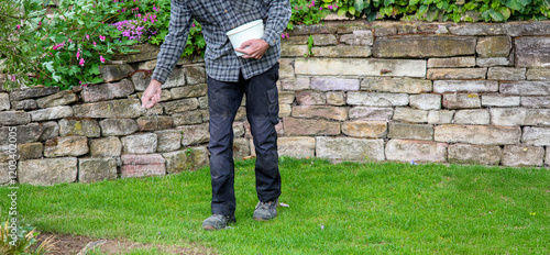 Tableau sur toile view of one Man, farmer is fertilizing the lawn soil