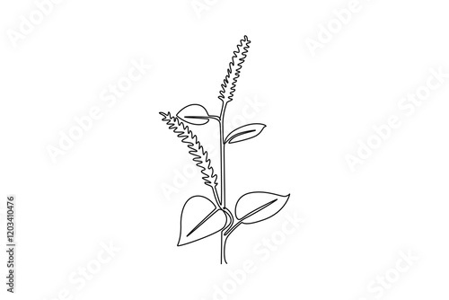 Single continuous line drawing beauty fresh amaranthus for garden logo. Decorative amaranth flower concept for home wall decoration art poster. Dynamic one line draw graphic design vector illustration photo