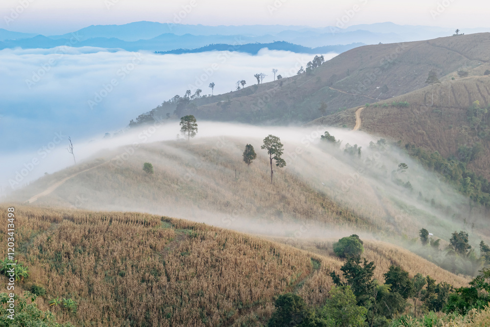 Natural mountains and fog, tourism and relaxation.