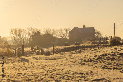 Lonely Church on the Kent Marsh