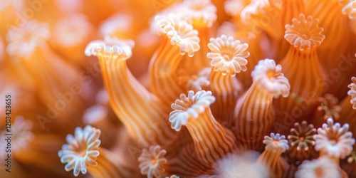 close up shot of coral polyps underwater ocean sea leaf smooth ecosystem photo