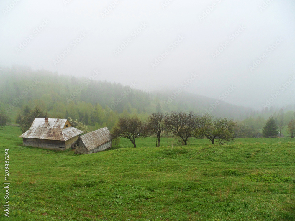 Obraz premium A foggy mountain village in the springtime