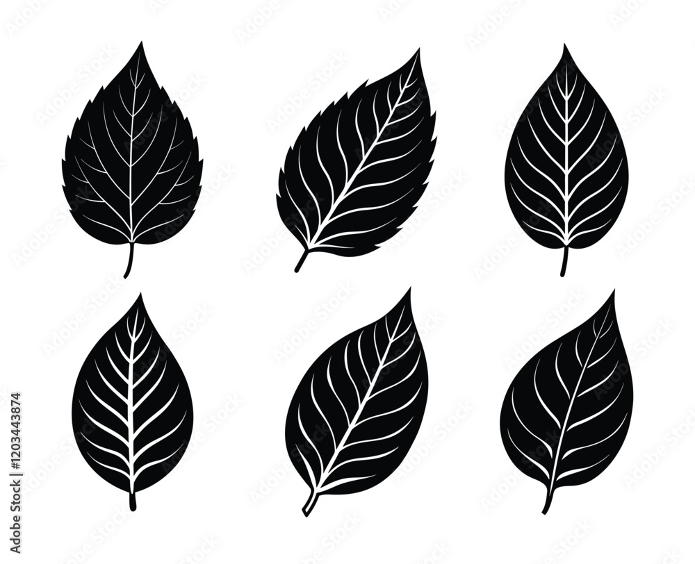 Obraz premium Classic Black and White Leaf Graphics Perfect for Nature-Themed Design Projects