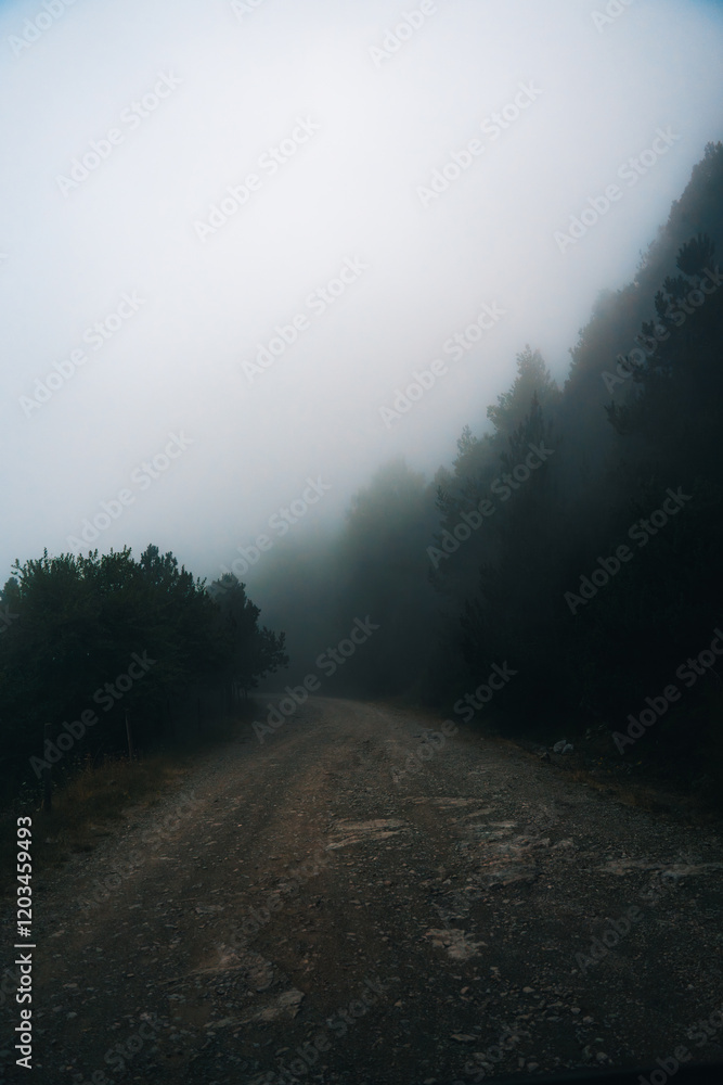 Carretera de montaña con niebla con árboles Carretera de montaña con niebla con árboles