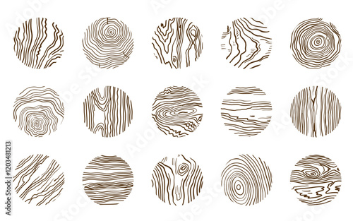 Wood line circle. Tree trunk cross section with topography rings, black and white timber log slices with contour sketch. Vector isolated set